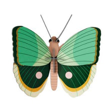 Load image into Gallery viewer, Fern Striped Butterfly Wall Art by Studio ROOF
