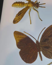 Load and play video in Gallery viewer, Cast Iron Gold Insects
