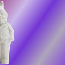 Load and play video in Gallery viewer, F U Gnome-White
