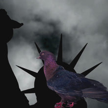 Load and play video in Gallery viewer, Archangel Pigeon Taxidermy no.2
