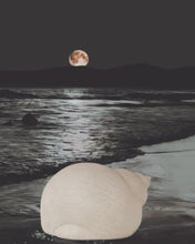 Load and play video in Gallery viewer, Snail Shell Decorative Light Up
