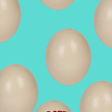 Load and play video in Gallery viewer, Genuine Ostrich Egg
