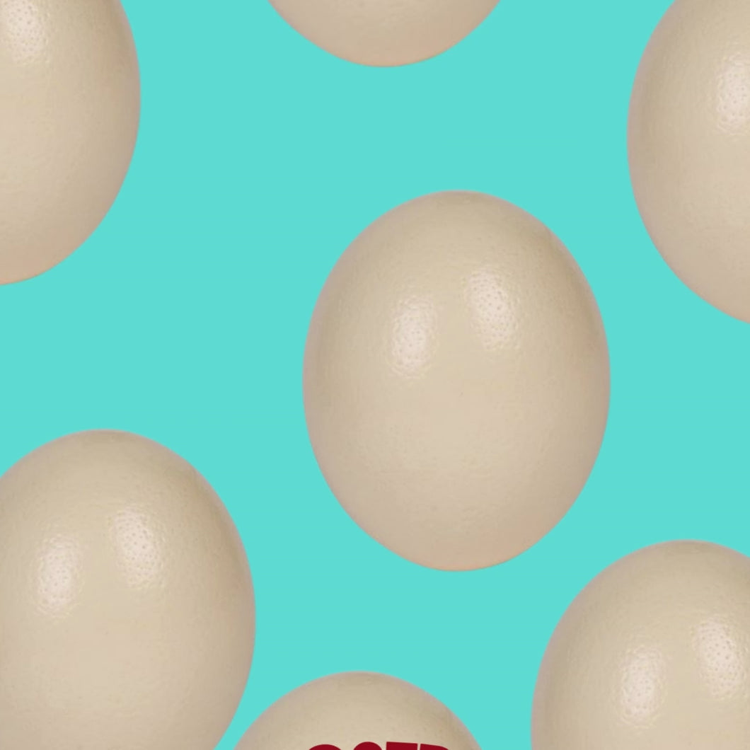 Genuine Ostrich Egg