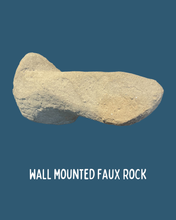 Load image into Gallery viewer, Cape Genet Taxidermy
