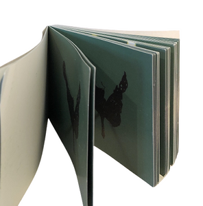 Damien Hirst Butterfly Flip Book