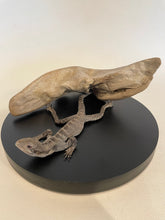 Load image into Gallery viewer, Juvenile Bearded Dragon - Antoinette Ratcliffe
