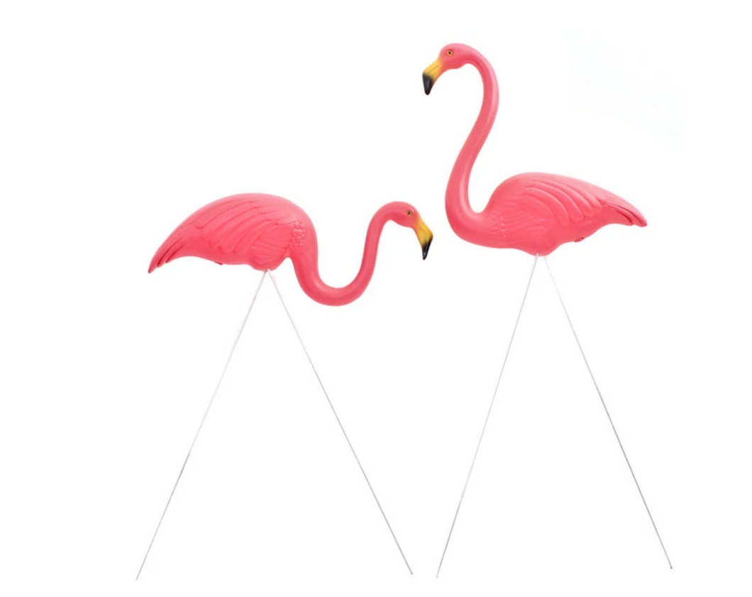 Pair of Pink Flamingos