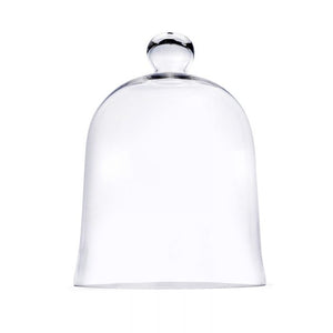 Glass Cloche (Various Sizes)