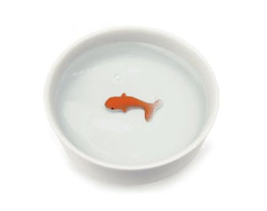 Gold Fish Pet Bowl