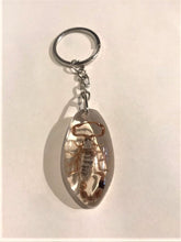 Load image into Gallery viewer, Scorpion Keyring

