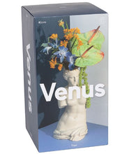 Load image into Gallery viewer, Venus Vase
