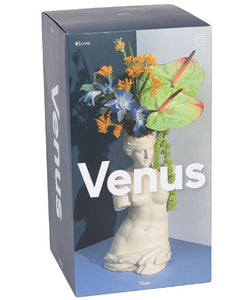 Venus Vase
